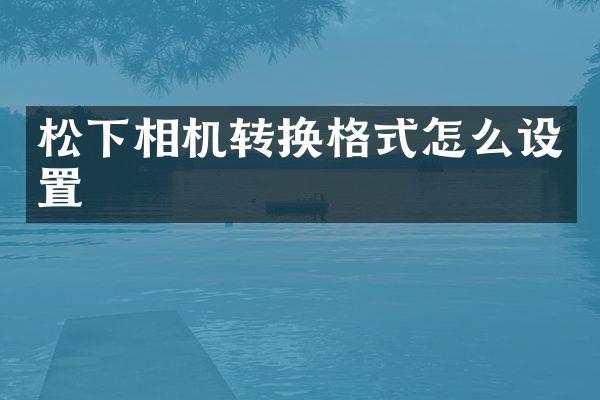相机转换格式怎么设置