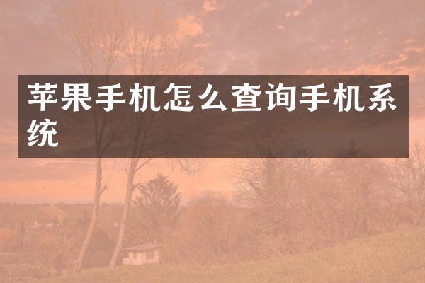 苹果手机怎么查询手机系统