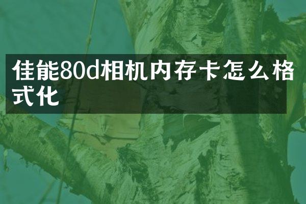 佳能80d相机内存卡怎么格式化