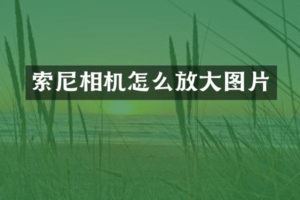 相机怎么放大图片