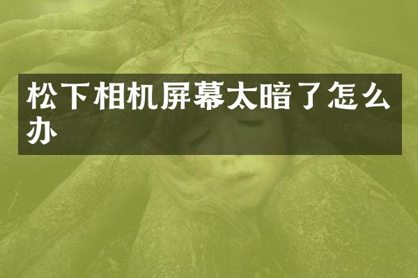 相机屏幕太暗了怎么办