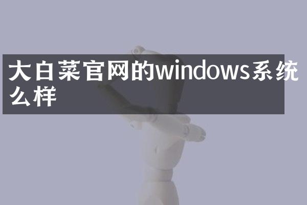 大白菜官网的windows系统怎么样