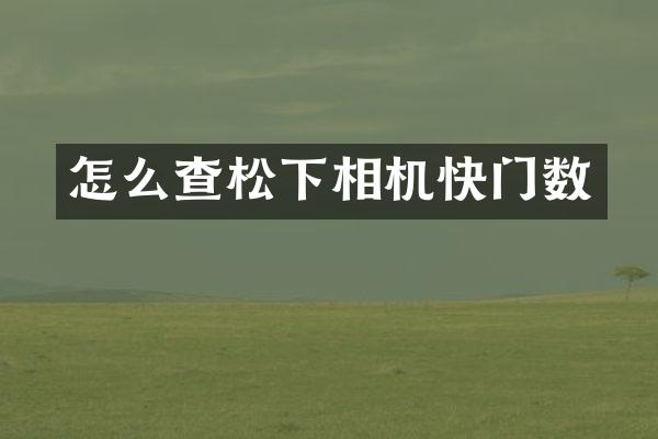 怎么查相机快门数