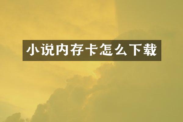 小说内存卡怎么下载