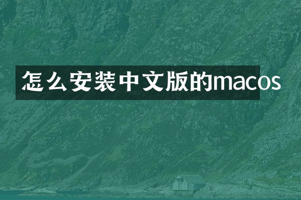 怎么安装中文版的macos