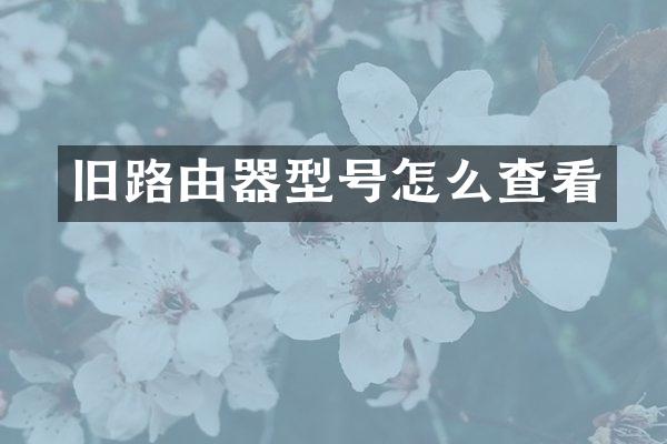 旧路由器型号怎么查看