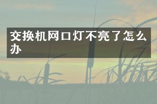 交换机网口灯不亮了怎么办