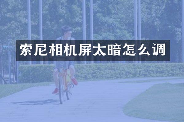 相机屏太暗怎么调