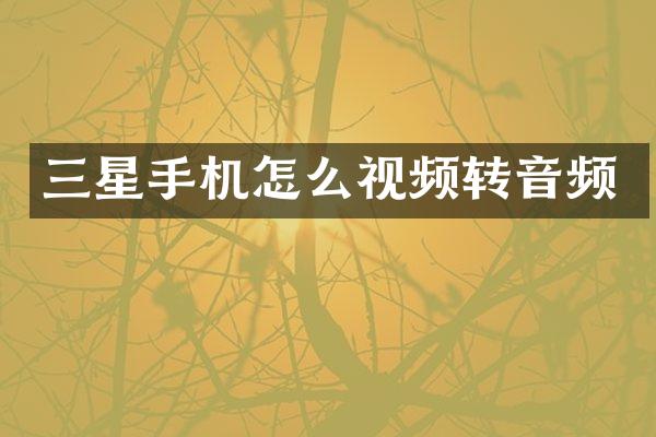 三星手机怎么视频转音频