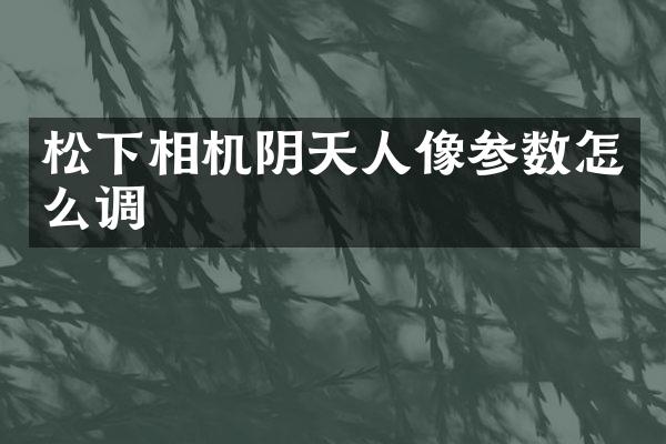 相机阴天人像参数怎么调