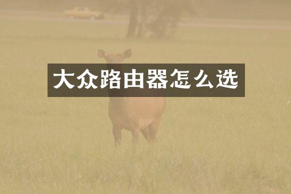 大众路由器怎么选