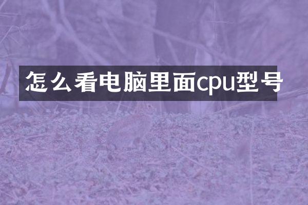 怎么看电脑里面cpu型号