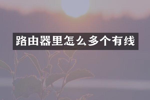 路由器里怎么多个有线