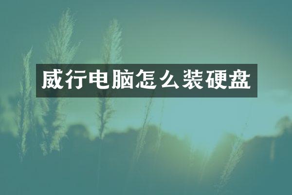 威行电脑怎么装硬盘