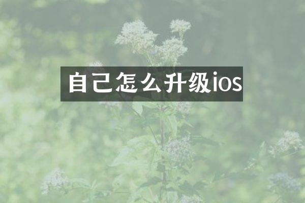 自己怎么升级ios