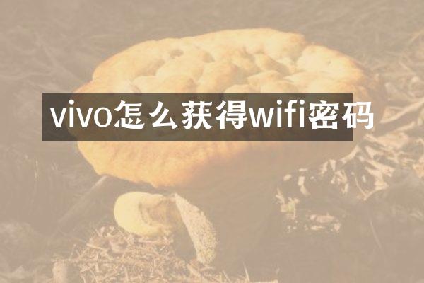 vivo怎么获得wifi密码