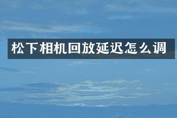 相机回放延迟怎么调