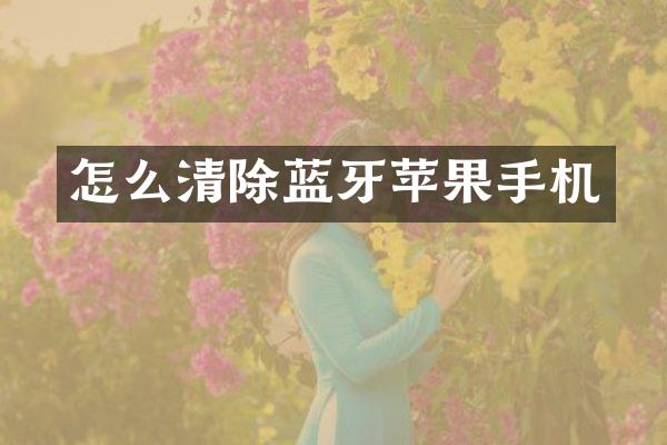 怎么清除蓝牙苹果手机