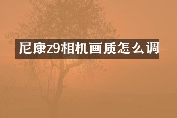 尼康z9相机画质怎么调
