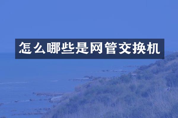 怎么哪些是网管交换机