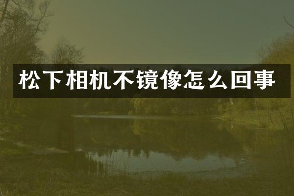 相机不镜像怎么回事
