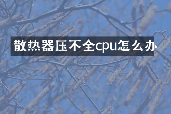 散热器压不全cpu怎么办