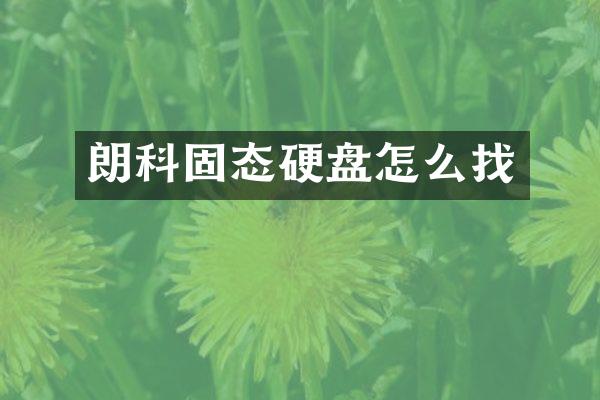 朗科固态硬盘怎么找