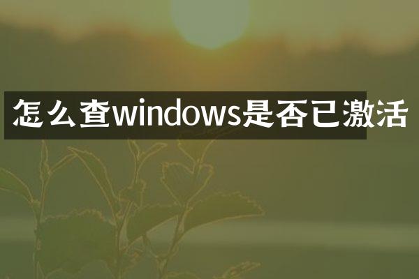 怎么查windows是否已激活