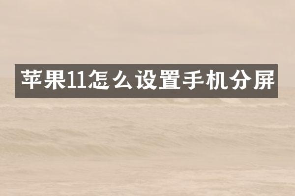 苹果11怎么设置手机分屏