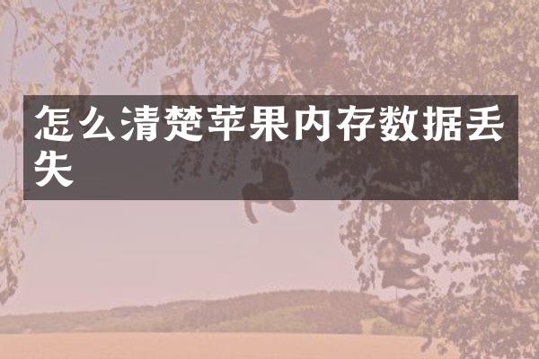 怎么清楚苹果内存数据丢失