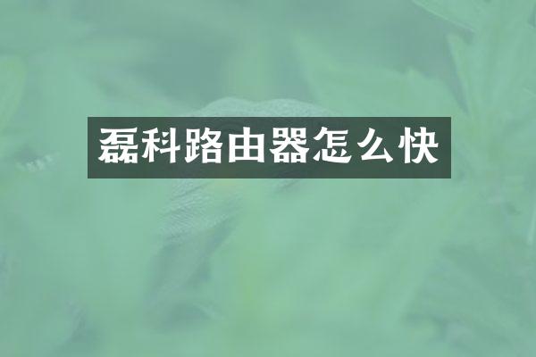 磊科路由器怎么快