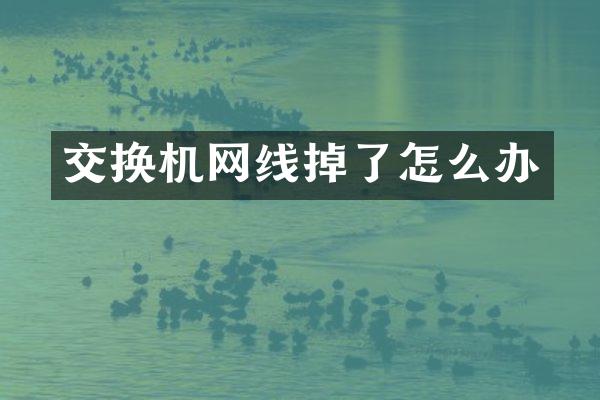 交换机网线掉了怎么办