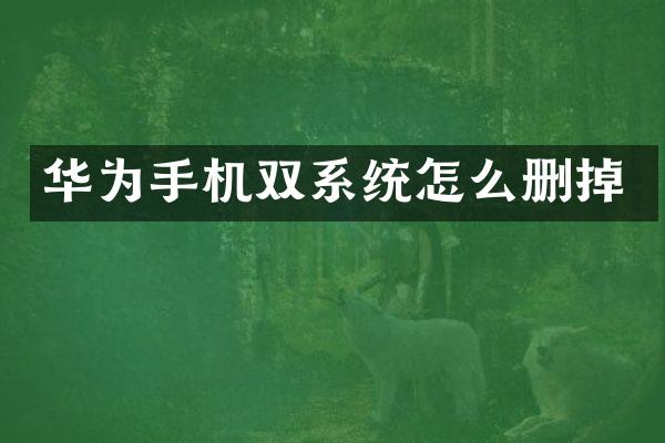 华为手机双系统怎么删掉