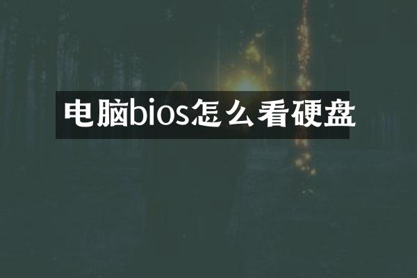 电脑bios怎么看硬盘