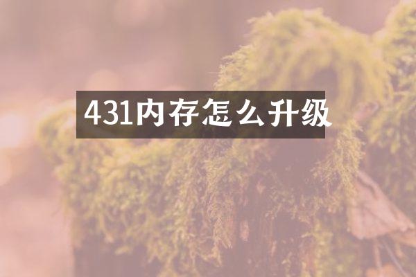 431内存怎么升级