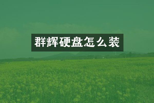 群辉硬盘怎么装
