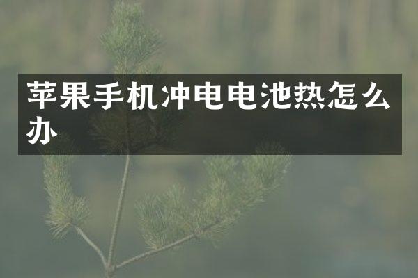 苹果手机冲电电池热怎么办