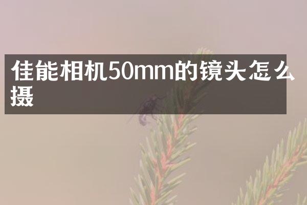 佳能相机50mm的镜头怎么拍摄