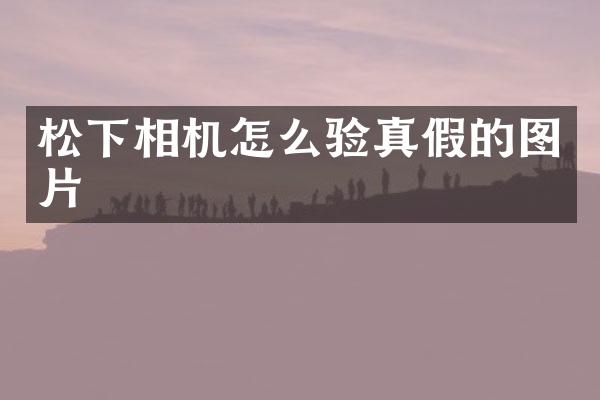 相机怎么验真假的图片