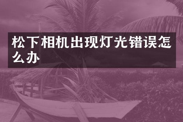 相机出现灯光错误怎么办