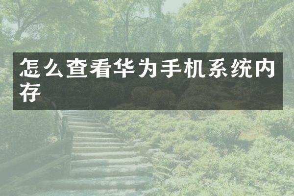 怎么查看华为手机系统内存