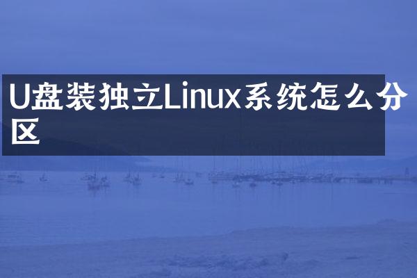 U盘装独立Linux系统怎么分区
