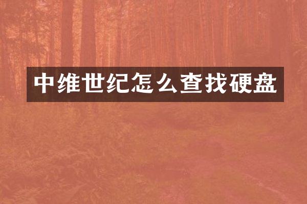 中维世纪怎么查找硬盘