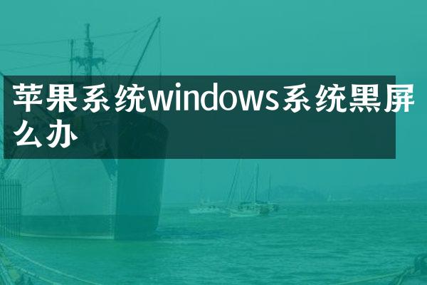 苹果系统windows系统黑屏怎么办