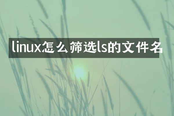 linux怎么筛选ls的文件名
