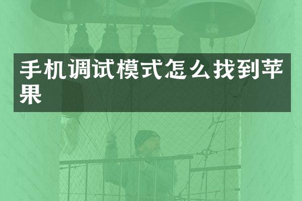 手机调试模式怎么找到苹果