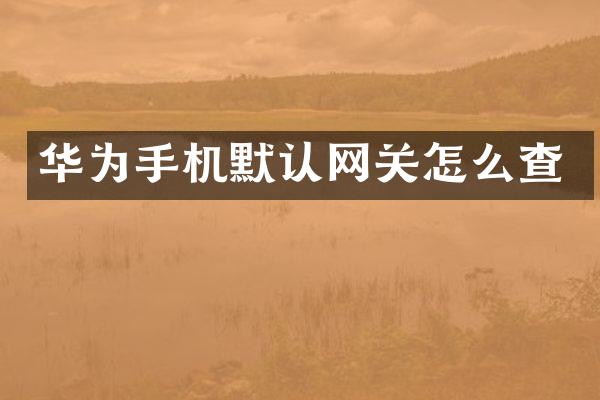 华为手机默认网关怎么查