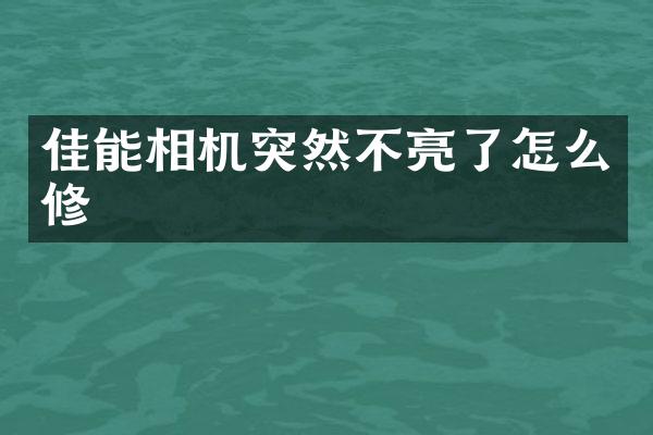 佳能相机突然不亮了怎么修