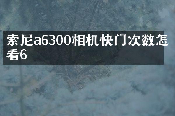a6300相机快门次数怎么看6