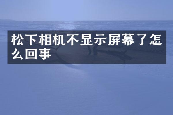 相机不显示屏幕了怎么回事